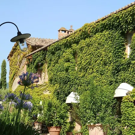 Farm stay La Sovana Sarteano